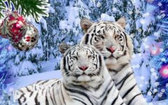 Лунный Новый Год 2022 Какого Числа Лунный Новый Год 2022 Какого Числа