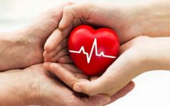 сердце в ладонях